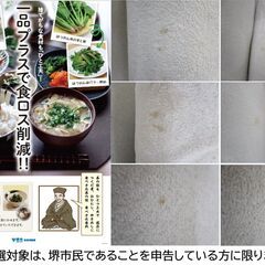 【堺市民限定】(2510-23) コンパクトローソファーの画像