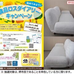 【堺市民限定】(2510-23) コンパクトローソファーの画像