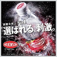 ウィルキンソン　1ケース24本　新品未開封の画像
