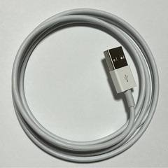 ipad mini 5世代　ピンク256の画像