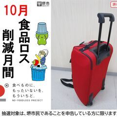 【堺市民限定】(2510-28) キャリーバッグの画像