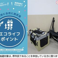 【堺市民限定】(2510-29) ペットバギーの画像