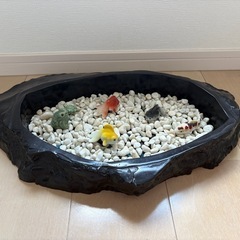 高級　那智黒水盤　花器　生花　アンティークの画像
