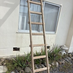 昔の木製梯子　3mの画像