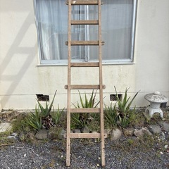 昔の木製梯子　3mの画像