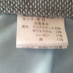 ブルースーツの画像