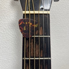 アコギ　中古の画像