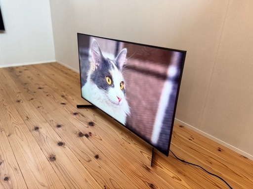 【SONY】KJ-49X9500H【美品】