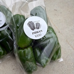 【無農薬野菜】ピーマン ¥100の画像