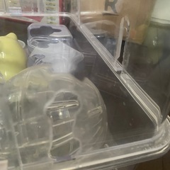 ハムスター　ケージの画像