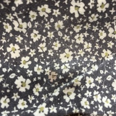 女の子 長袖 秋服 110の画像