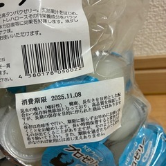 KBファーム　昆虫ゼリー　プロゼリーの画像