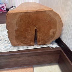 一本ヒノキベンチ‼️の画像