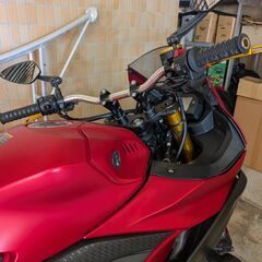 2019年式 yzf-r3 車両交換有りの画像