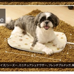 ペット用　電気カーペットの画像