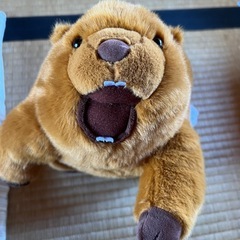 怒りのマーモット 音声ぬいぐるみ新品の画像