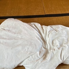 目玉焼きぬいぐるみ新品の画像