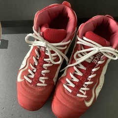 Nike バスケットボールシューズ レッド/ホワイト ナイキエアチーム2.0の画像