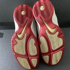 Nike バスケットボールシューズ レッド/ホワイト ナイキエアチーム2.0の画像