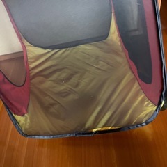 キッズてんとテントの画像