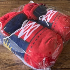 ゴーディスリッパの画像