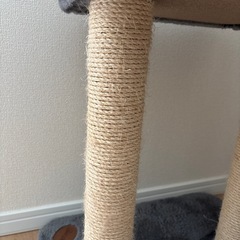 キャットタワーの画像