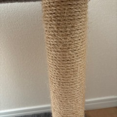 キャットタワーの画像