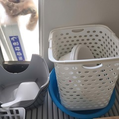 物をあげますの画像
