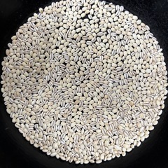 もち麦（品種:はねうまもち）ご飯と一緒に炊いて食べられますの画像