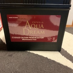 AQUA Dream Platinumバッテリーの画像