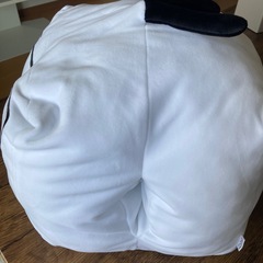 テレビちゃんお昼寝まくらの画像