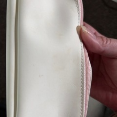 クリスチャンディオールポーチの画像