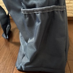 犬、猫用キャリーバッグ新品未使用の画像