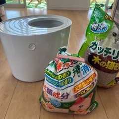 猫トイレ / Cat Litter 🐈‍⬛の画像