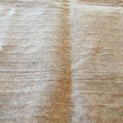 ホットカーペット 発熱部分のみ （カーペットは無し）の画像