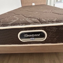 シモンズの画像