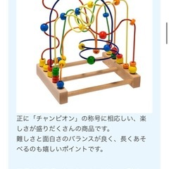 ボーネルンド　ルーピング　チャンピオンの画像