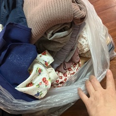 レデース服Mサイズの画像