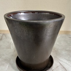 鉢の画像