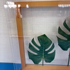 リーフパネル  モンステラの画像