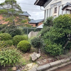 庭木　お好きなだけの画像