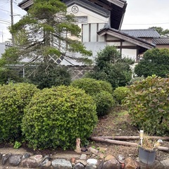 庭木　お好きなだけの画像