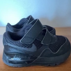 Nike A i rM a x
の画像