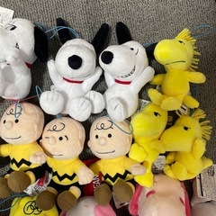 どれでも1個100円です！の画像