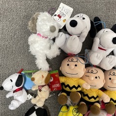 どれでも1個100円です！の画像