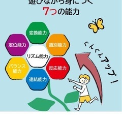 【美品】バランスストーン　飛び石の画像