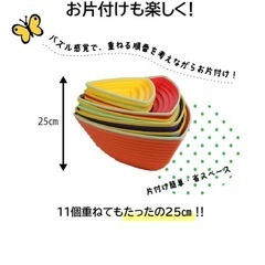 【美品】バランスストーン　飛び石の画像