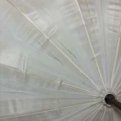 傘の画像