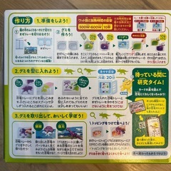 【子供と一緒にたのしむ】知育菓子　たべる図鑑　恐竜編の画像