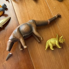 アニア　セットの画像